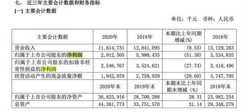 周鴻祎的追風之旅 360押注新造車，互聯網安全巨頭的轉型之困